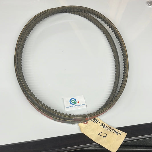 BELT,BX42